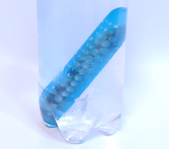 猫にやさしいお水 猫専用浄水スティック 猫の尿路結石予防 ご家庭の水道水が【軟水・抗菌水・活性酸素抑制水】に!【※使用期間1ヶ月】