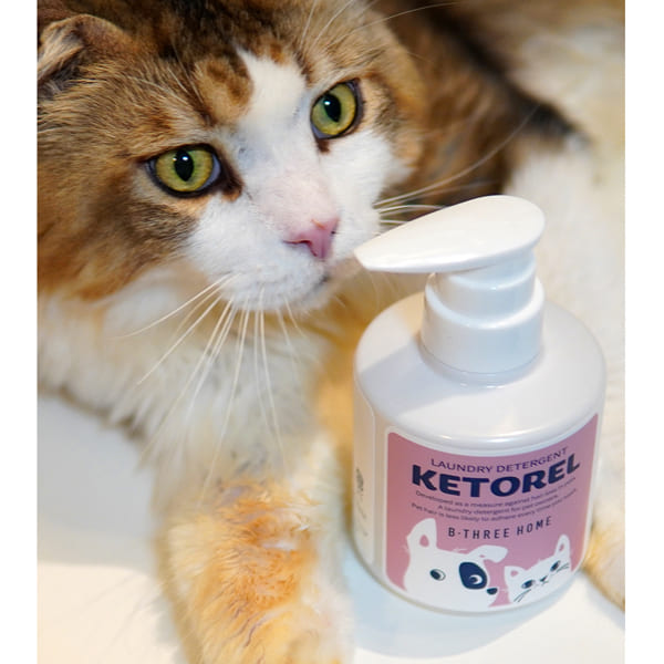 ケトレル (KETOREL)
ディタージェント 300ML ペットの毛がつきにくい 洗濯洗剤 コーティング 犬 猫 イヌ ネコ 蛍光増白剤不使用 無添加 無香料 日本製
手の汚れないポンプ式 リッカティル LyckaTill