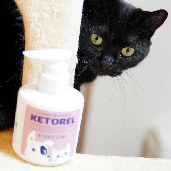 ケトレル (KETOREL)
ディタージェント 300ML ペットの毛がつきにくい 洗濯洗剤 コーティング 犬 猫 イヌ ネコ 蛍光増白剤不使用 無添加 無香料 日本製
手の汚れないポンプ式 リッカティル LyckaTill