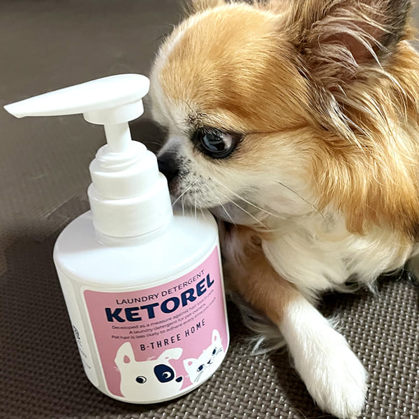 ケトレル (KETOREL)
ディタージェント 300ML ペットの毛がつきにくい 洗濯洗剤 コーティング 犬 猫 イヌ ネコ 蛍光増白剤不使用 無添加 無香料 日本製
手の汚れないポンプ式 リッカティル LyckaTill