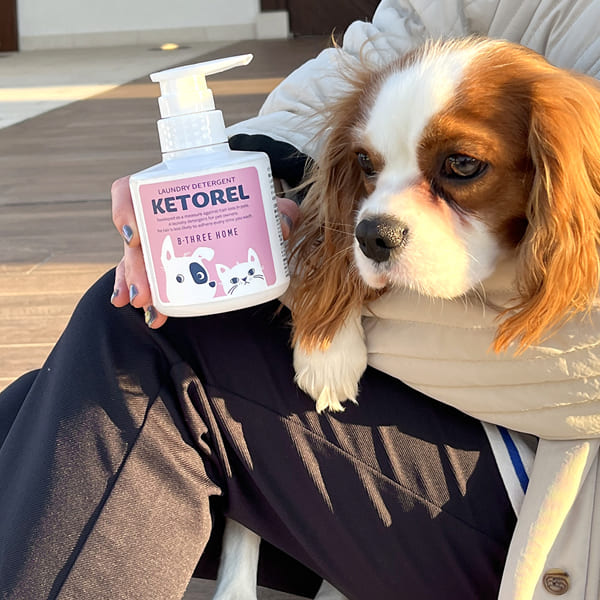 ケトレル (KETOREL)
ディタージェント 300ML ペットの毛がつきにくい 洗濯洗剤 コーティング 犬 猫 イヌ ネコ 蛍光増白剤不使用 無添加 無香料 日本製
手の汚れないポンプ式 リッカティル LyckaTill