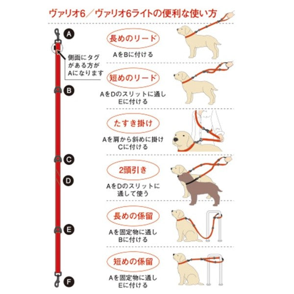 EZ ヴァリオ6 ブラック リード