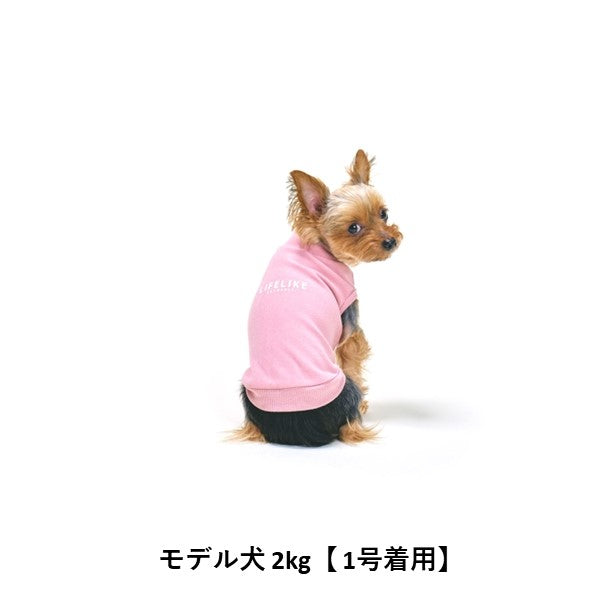 ハイネックヒートウェア