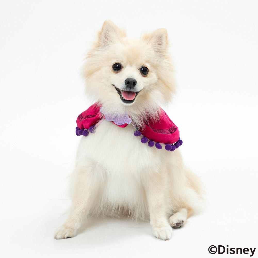 Disney ディズニー Disney FAN合同企画 「アナと雪の女王 アナポンチョ」