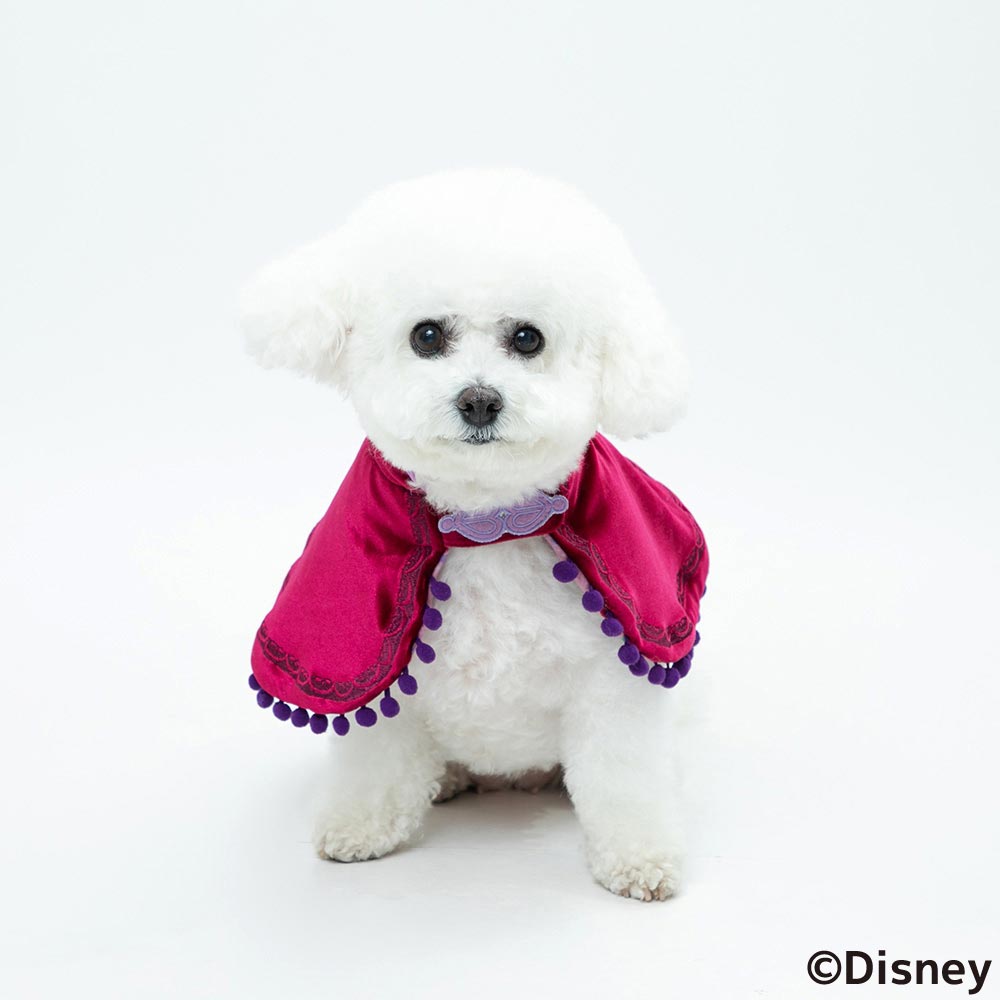 Disney ディズニー Disney FAN合同企画 「アナと雪の女王 アナポンチョ」