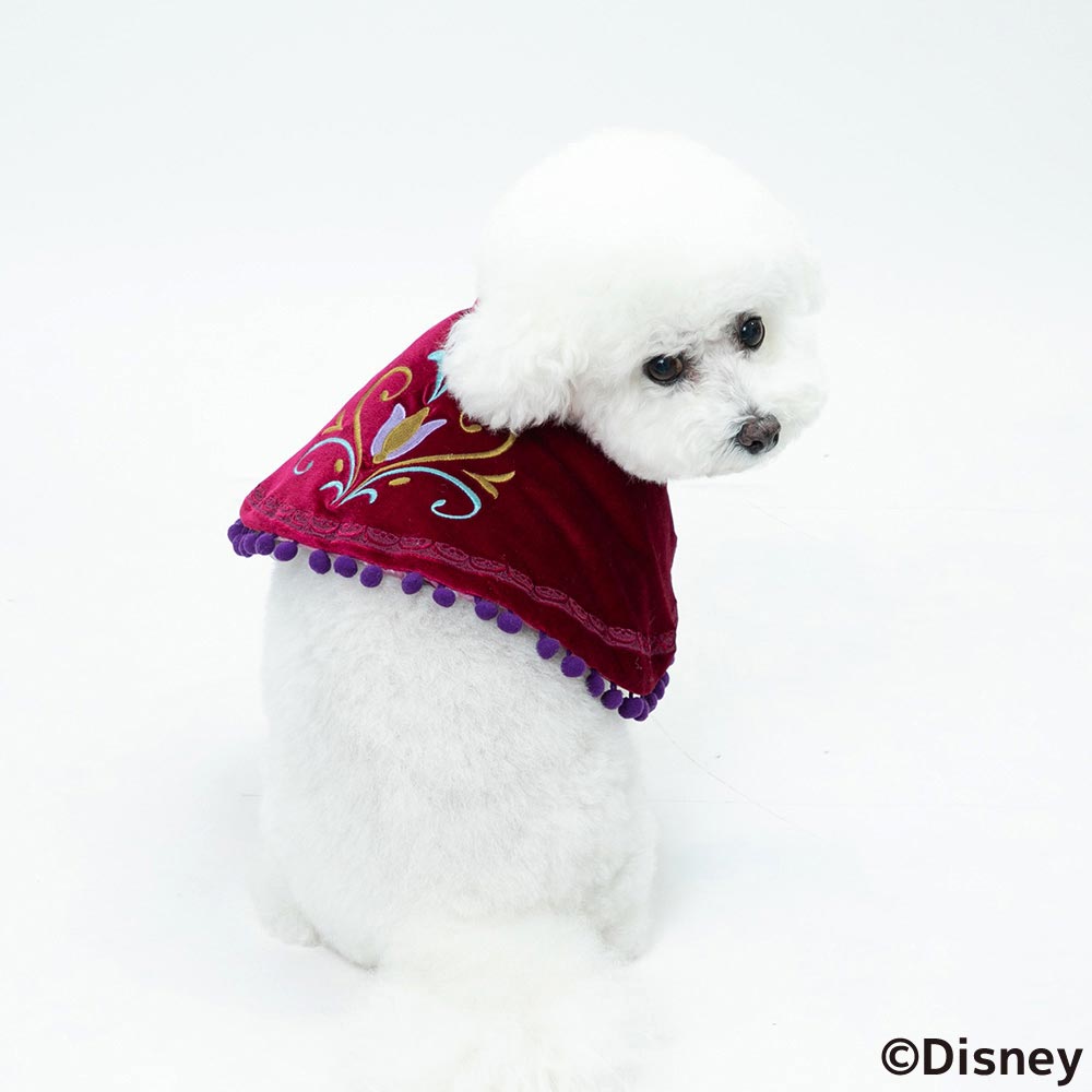Disney ディズニー Disney FAN合同企画 「アナと雪の女王 アナポンチョ」