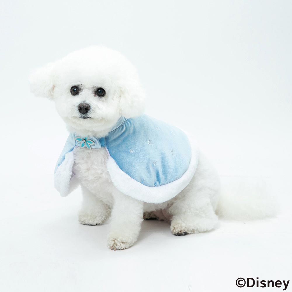 Disney ディズニー Disney FAN合同企画 「アナと雪の女王 エルサポンチョ」