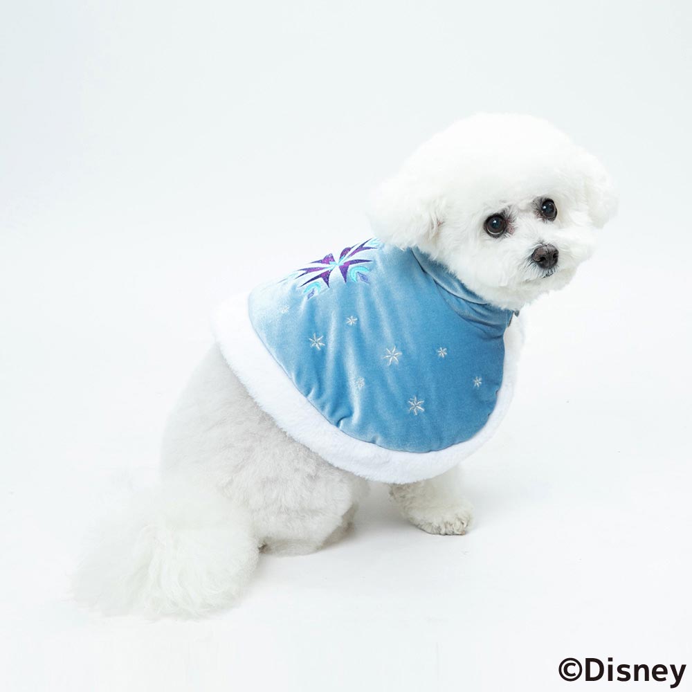Disney ディズニー Disney FAN合同企画 「アナと雪の女王 エルサポンチョ」