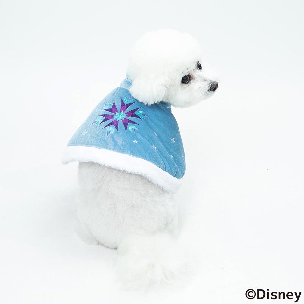 Disney ディズニー Disney FAN合同企画 「アナと雪の女王 エルサポンチョ」