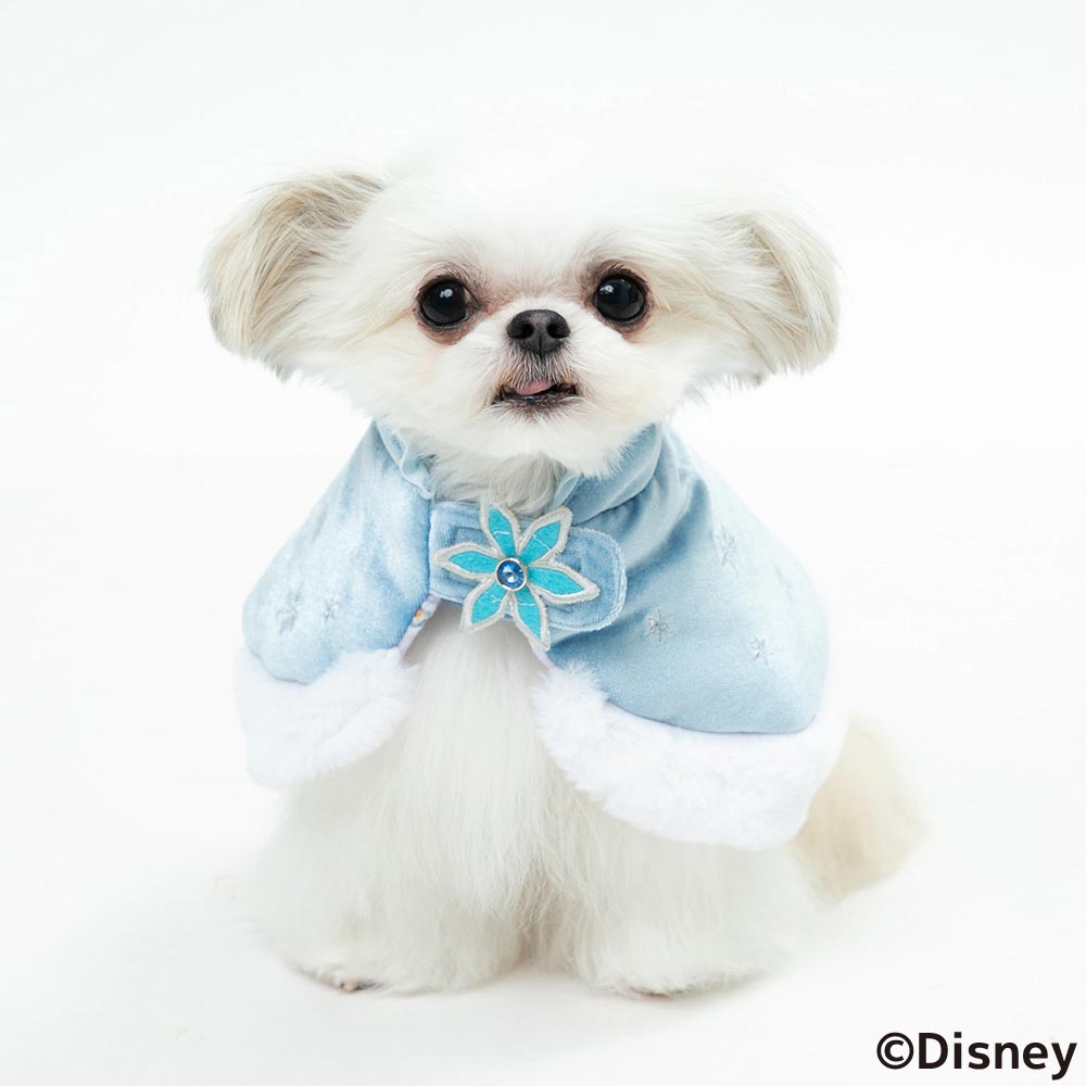 Disney ディズニー Disney FAN合同企画 「アナと雪の女王 エルサポンチョ」
