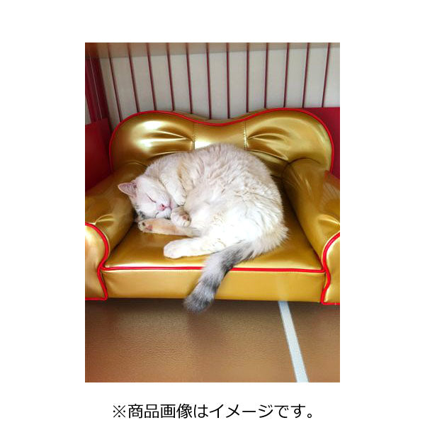THI THI PET ペットソファ 猫 小型犬 ティアラ 小型犬 猫 日本製 セミオーダー メーカー直送 ソファ3~4週間 ※北海道・沖縄・離島不可