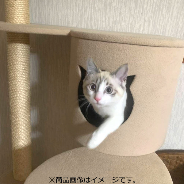 THI THI PET ティティペット キャットタワー ACEコフレ 麻縄ポール ビニロンポール