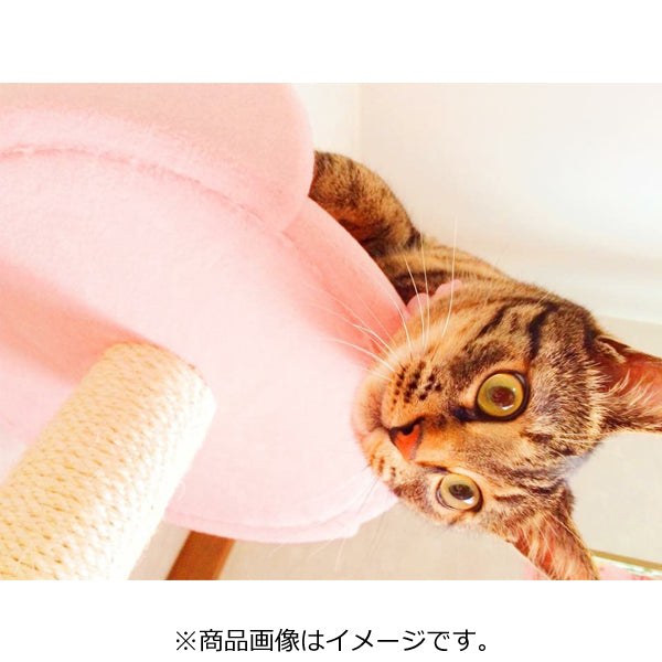 THI THI PET ティティペット キャットタワー Colline(コリーヌ) 麻縄ポール ビニロンポール