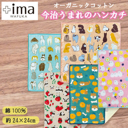 +ima 今治生まれのガーゼパイルハンカチ 綿100％ 日本製 24×24cm 薄手 吸水 タオルハンカチ ミニタオル プチギフト