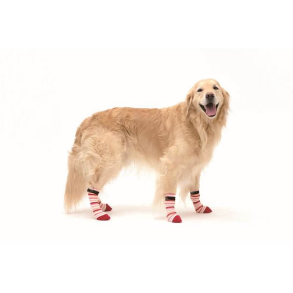 LIFELIKE ライフライク マルチボーダーロングソックス 犬用靴下 4足セット ドッグソックス 滑り止め 脱げにくい 室内 小型犬 中型犬 SS-XL