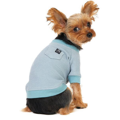 LIFELIKE ライフライク デイリーサーマルトップ 犬服 Tシャツ フォグブルー 7号 中型犬 大型犬 ワッフル 伸縮 消臭 ラグラン袖 オールシーズン