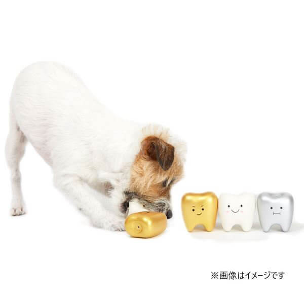 LIFELIKE ライフライク ラテックスteeth 犬用おもちゃ ドッグトイ 歯型 ホワイト シルバー ゴールド 笛入り 噛むおもちゃ 小型犬 中型犬 全3色