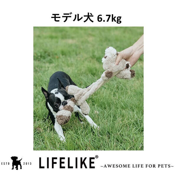 LIFELIKE ライフライク クタクタアニマルトイ 犬用おもちゃ ドッグトイ ぬいぐるみ ウサギ アライグマ ナマケモノ 笛入り シャカシャカ 中綿なし 引っ張り