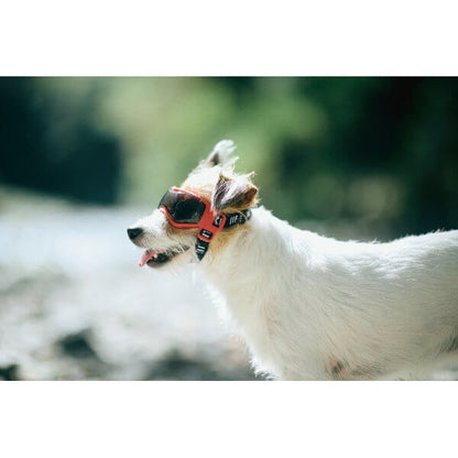 LIFELIKE ライフライク 犬用ゴーグル ドッグゴーグル 犬用サングラス UVカット 目元保護 紫外線対策 アウトドア ドライブ 散歩 S M