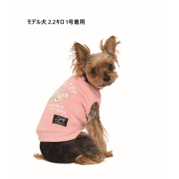 LIFELIKE ライフライク オータムグルメトレーナー 犬服 ドッグウェア トレーナー 秋冬 食べ物柄 カジュアル お散歩 おでかけ 131W06